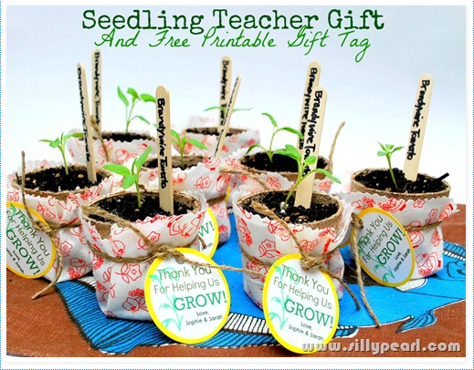 Seedling Teacher Gift With Printable